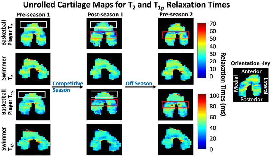 Figure 4: