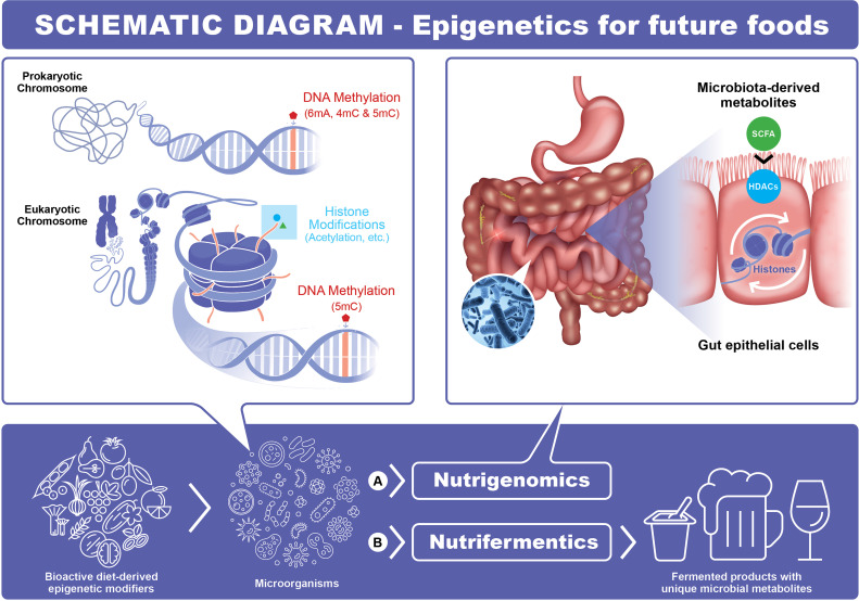 FIG 1