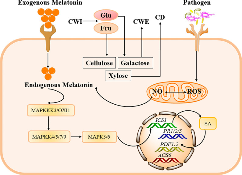 Figure 3