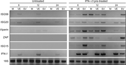 FIG. 7.