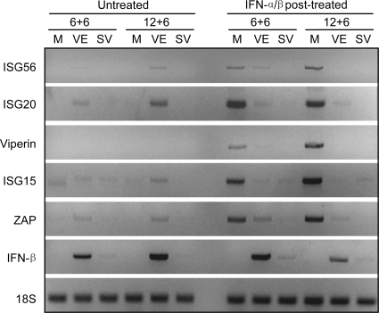 FIG. 8.