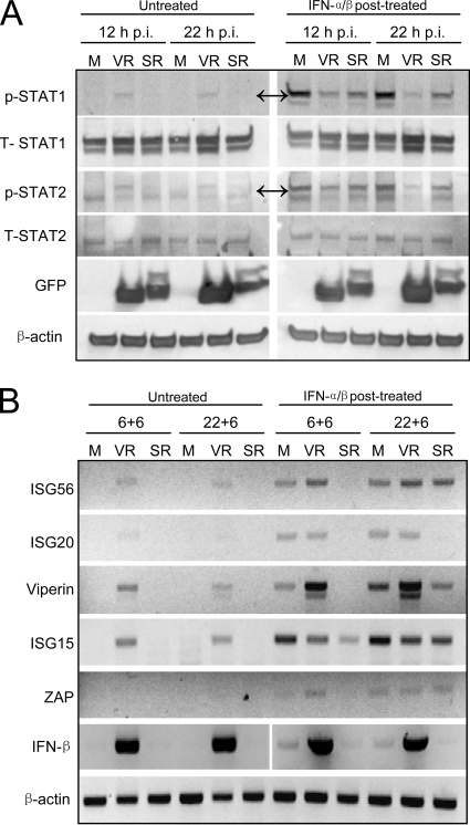 FIG. 9.