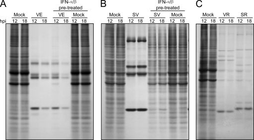 FIG. 11.