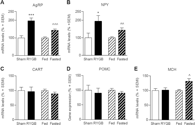 Figure 3