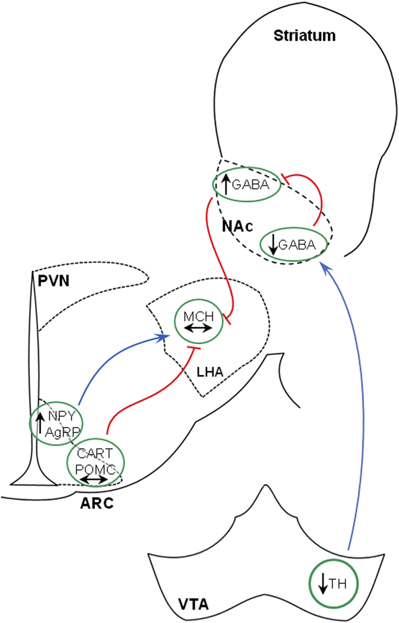 Figure 6