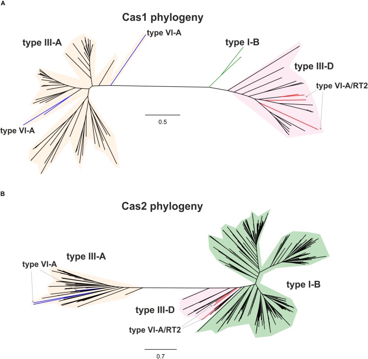 FIGURE 3