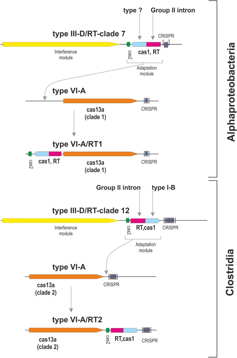 FIGURE 4