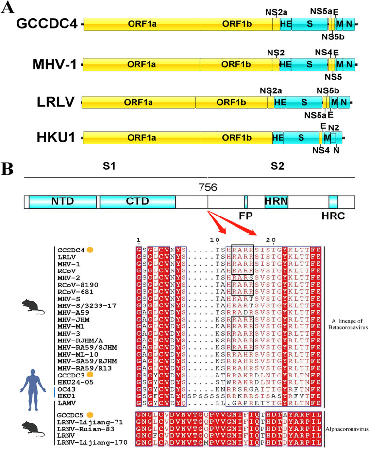 FIG 6
