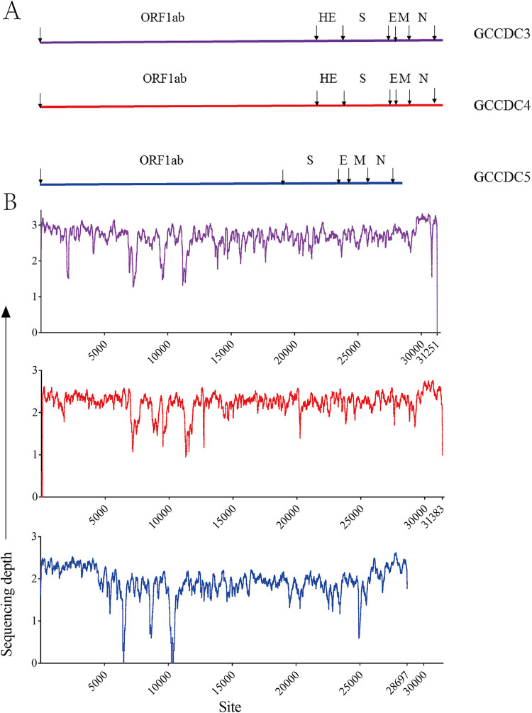FIG 2