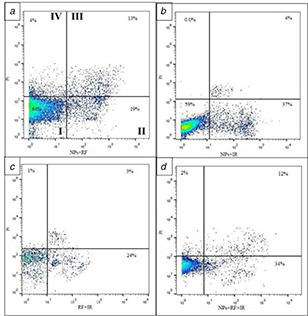 Fig. 7