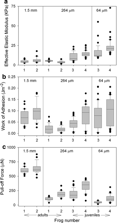 Fig. 6