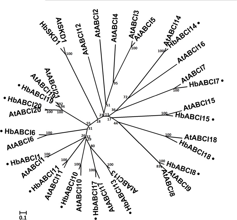 Figure 7