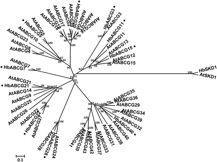 Figure 6