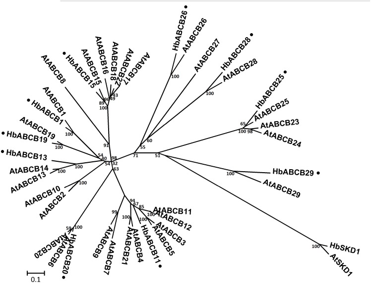 Figure 4