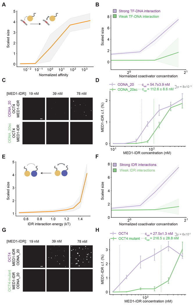 Figure 3: