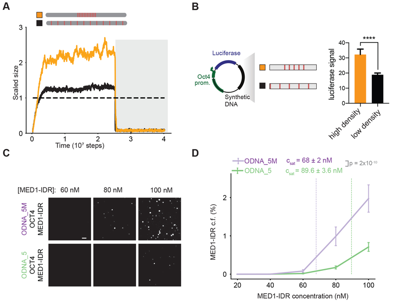 Figure 5: