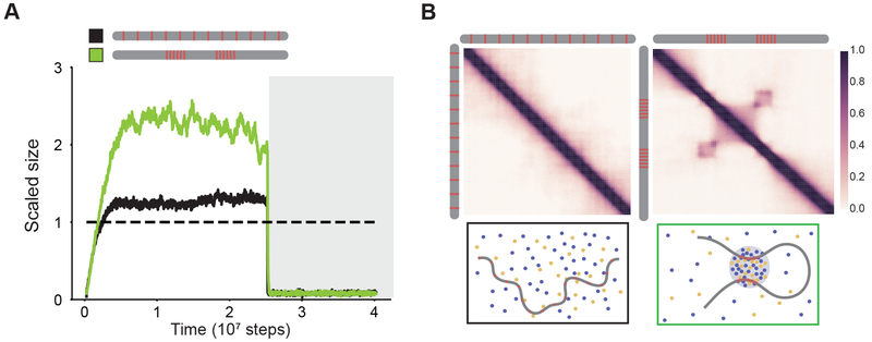 Figure 6: