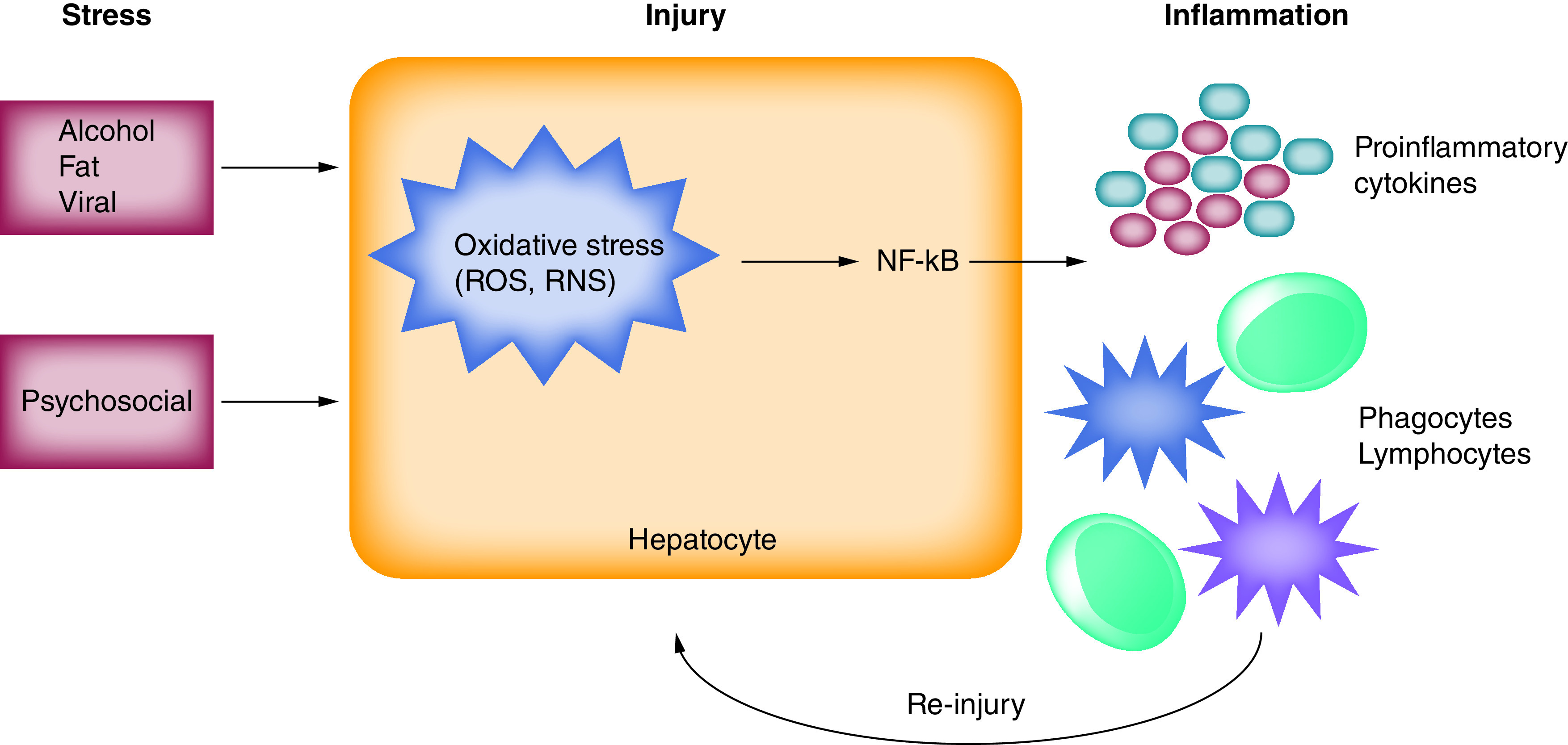 Figure 1. 