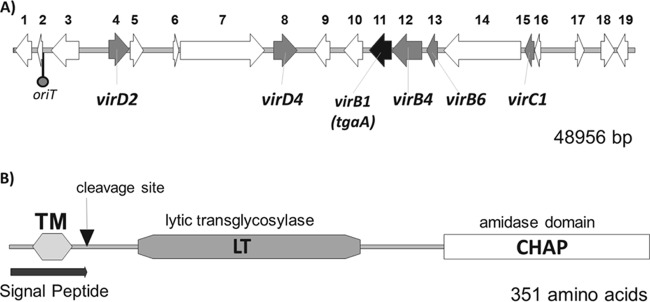 FIG 2