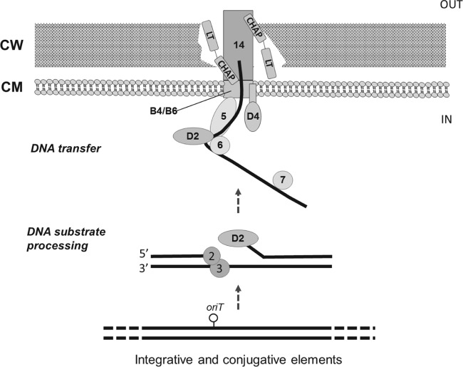 FIG 3