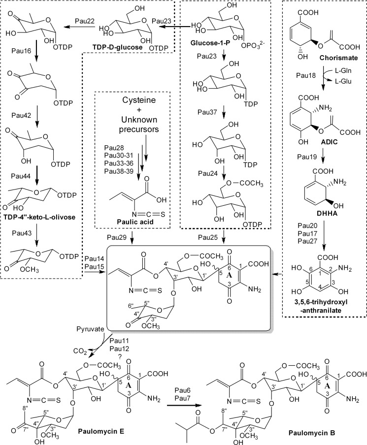 Fig 4