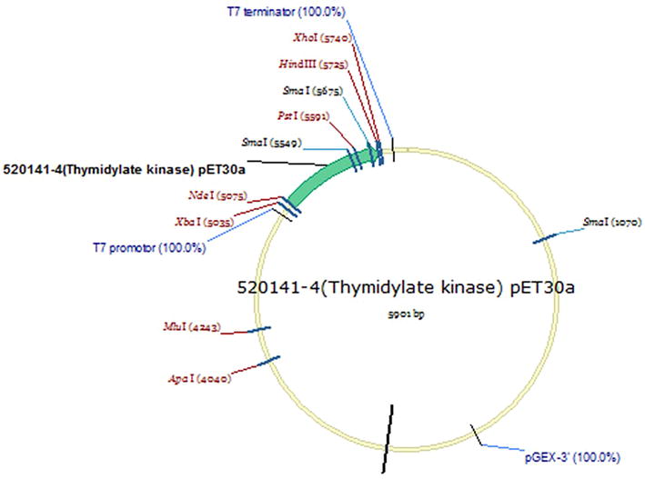 Fig. 3