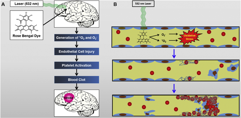 Figure 2.