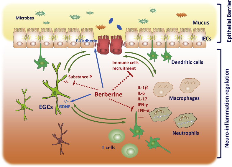 Figure 7