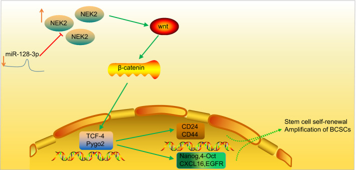 FIGURE 12