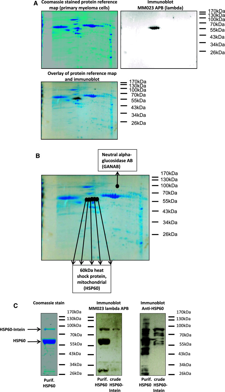 Fig. 4