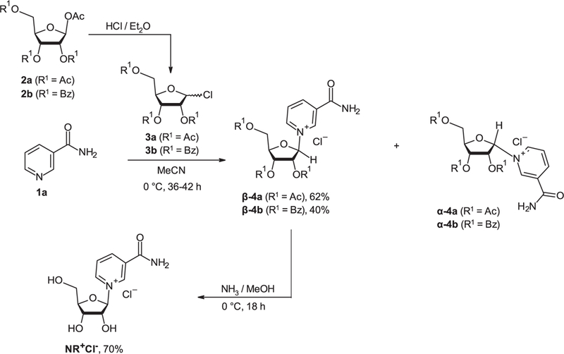 Scheme 2.