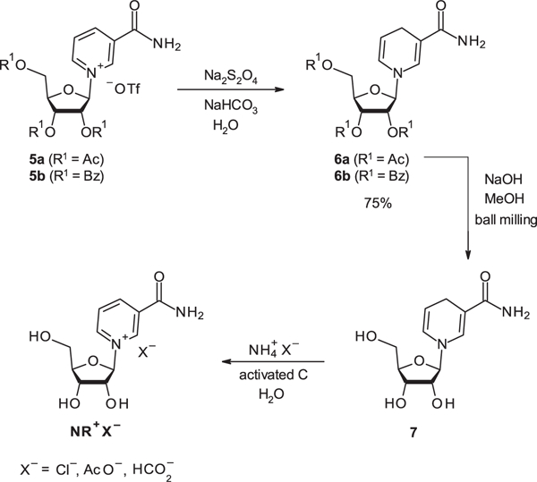 Scheme 3.