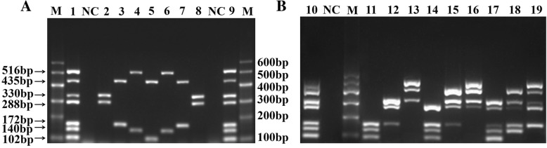 Fig. 5