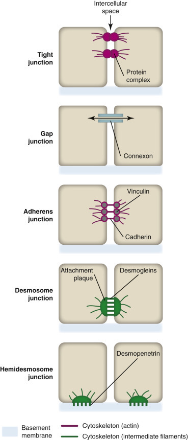 Figure 1-6