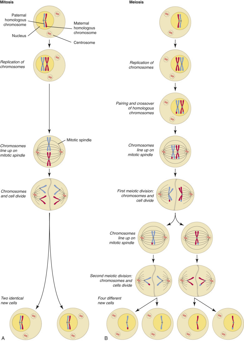 E-Figure 1-30