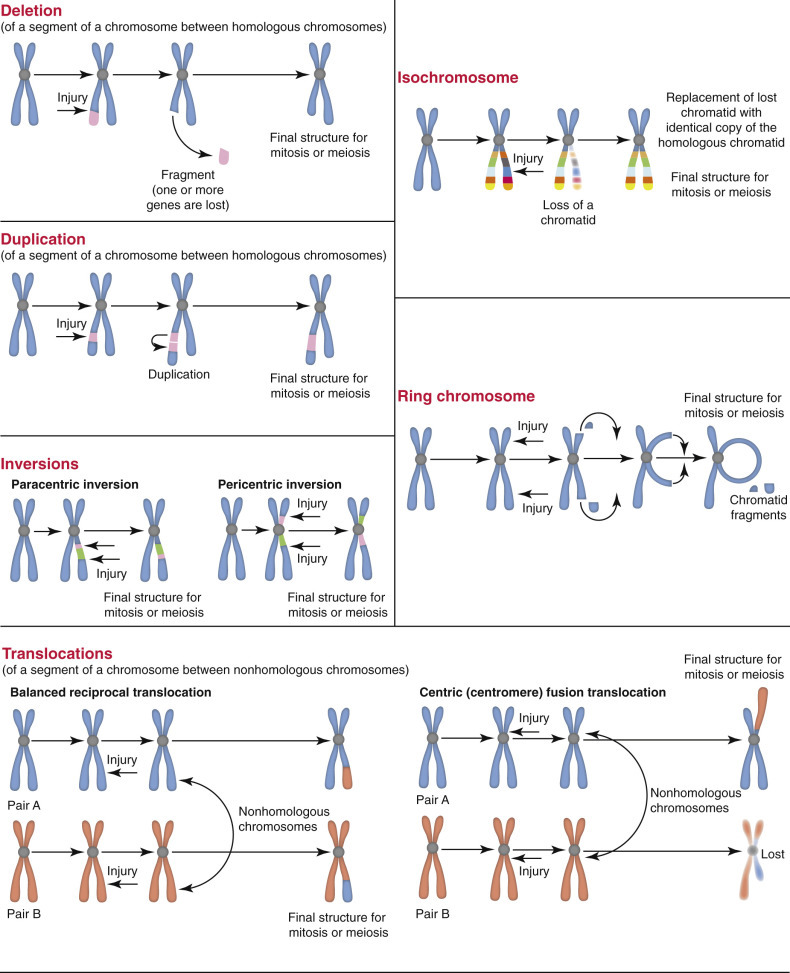 E-Figure 1-32