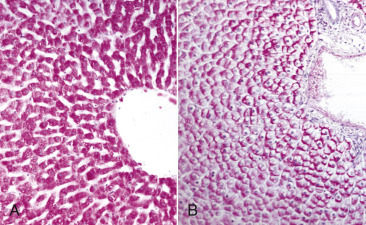 E-Figure 1-15