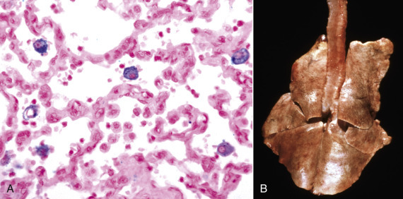 Figure 1-54