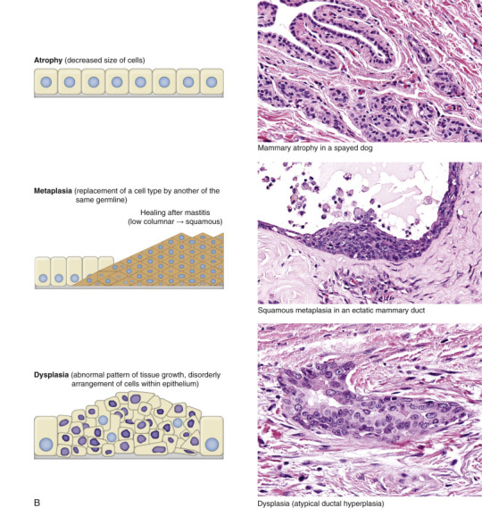 Figure 1-25