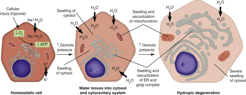 Figure 1-9