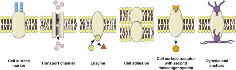 Figure 1-4