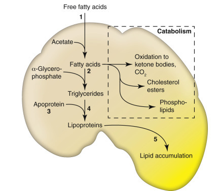 Figure 1-28