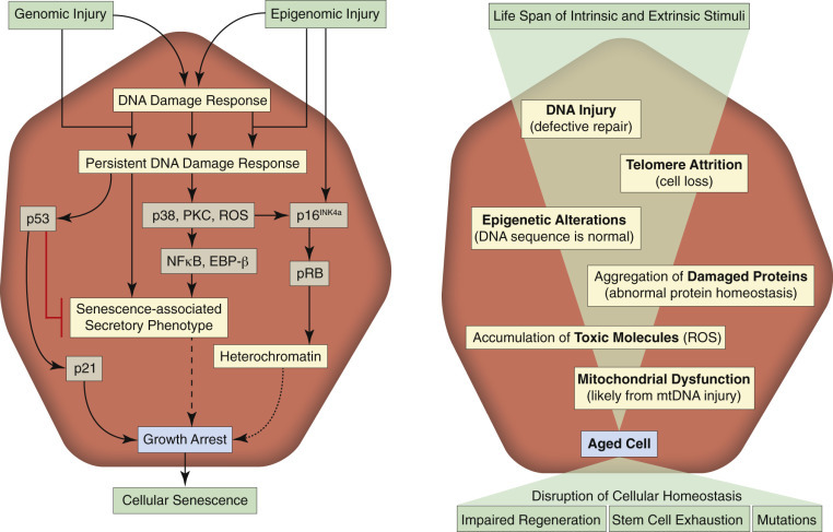 E-Figure 1-21