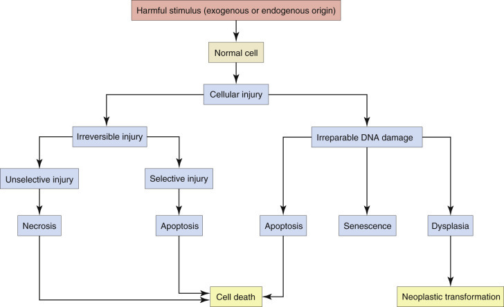 Figure 1-8