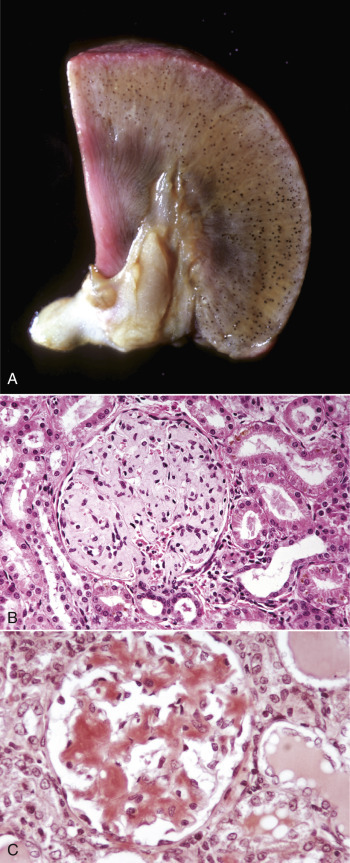 E-Figure 1-16