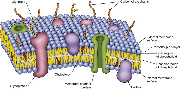 Figure 1-2