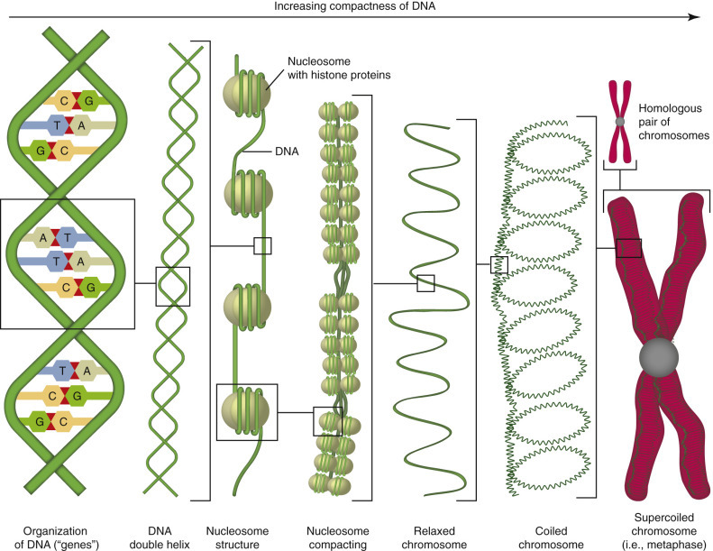 E-Figure 1-22