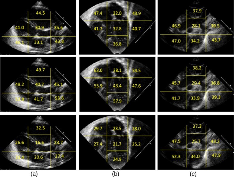 Fig. 9