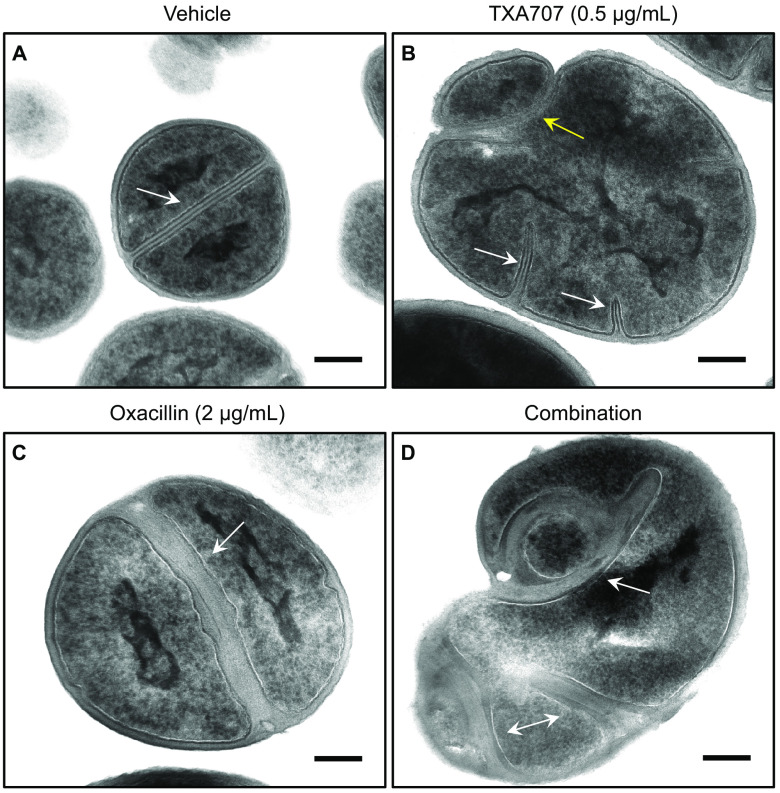 FIG 9