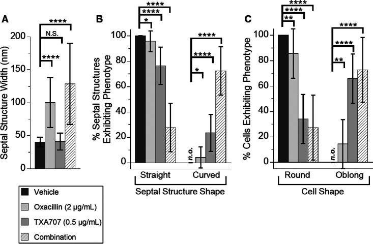 FIG 10